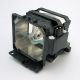 base_image_label-300271-OI56660