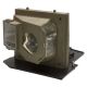 base_image_label-300412-OI60529