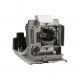 base_image_label-302728-OI66990