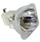 LIESEGANG DDV 2000 Projector Lamp