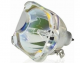 1730029 Projector Lamp for SAHARA PROTECTOR XGA