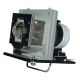OPTOMA HD73 Original Inside Projector Lamp - Replaces BL-FU220A / SP.83F01G.001