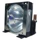 SHARP XG-P10XE Original Inside Projector Lamp - Replaces BQC-XGP10XE/1