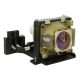 TDPLD1 / TDPLD2 Projector Lamp for TOSHIBA TDP D1