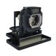 PANASONIC PT-AE4000E Projector Lamp