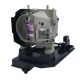 NP19LP / 60003129 Projector Lamp for NEC U250X