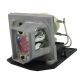 OPTOMA VDHDNZ Original Inside Projector Lamp - Replaces BL-FP230D / SP.8EG01GC01