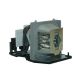 ACER D7P0511 Original Inside Projector Lamp - Replaces EC.J3001.001