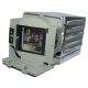OPTOMA DAEXUUZ Original Inside Projector Lamp - Replaces BL-FP180F / FX.PA884-2401