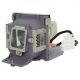 EC.J9000.001 Projector Lamp for ACER X1230