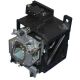 Z933791630 Projector Lamp for SIM2 TEATRO 50