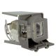 Genuine VIEWSONIC PJD6243 Projector Lamp - RLC-075