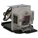 INFOCUS IN3914 - xxxxxxx0xxx SERIAL Original Inside Projector Lamp - Replaces SP-LAMP-062