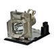 OPTOMA THEMESCENE HD808 Projector Lamp