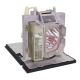 OPTOMA THEMESCENE HD8300 Projector Lamp