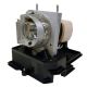ACER DNX0815 Original Inside Projector Lamp - Replaces EC.J9300.001