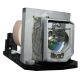 MC.JGL11.001 Projector Lamp for ACER X1163N
