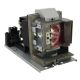 BENQ W3000 Original Inside Projector Lamp - Replaces 5J.JD305.001