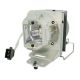ACER D1P1719 Projector Lamp