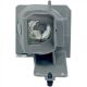 SP.7G901GC01 / BL-FU240H Projector Lamp for OPTOMA HD146X