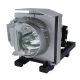 CLARITY WILDCAT WN-4030-SE (oval) Projector Lamp