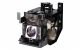 small_image_label-101014-57981M