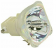 1730029 Projector Lamp for SAHARA S3601