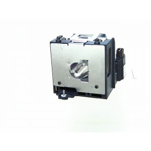 base_image_label-300052-OI59961