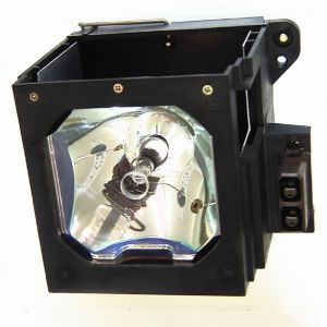 base_image_label-300168-OI55243