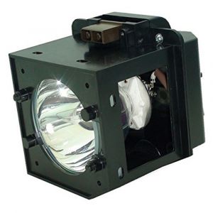 base_image_label-300187-OI58175