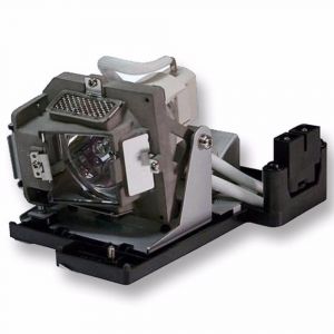 base_image_label-300312-OI59559