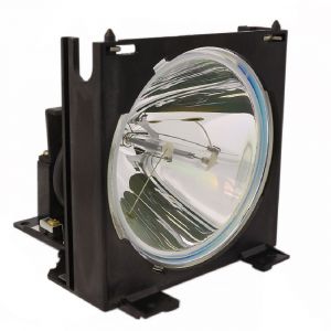 base_image_label-300325-OI56433