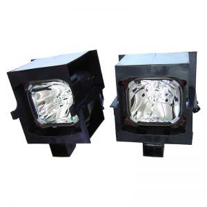LIESEGANG DV 3500 vario Projector Lamp