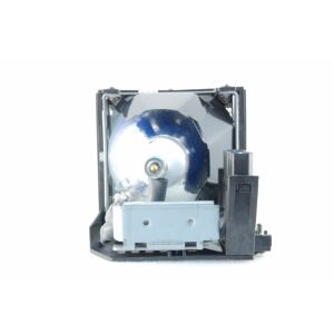 base_image_label-300543-OI56494