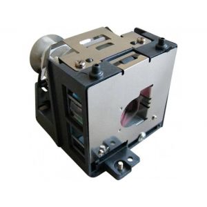 base_image_label-300570-OI60856