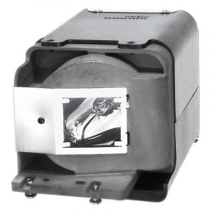 base_image_label-300576-OI62008