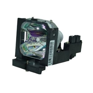 base_image_label-300593-OI60879