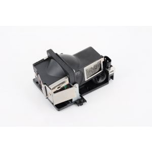 base_image_label-300624-OI60797