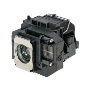 base_image_label-300649-OI65920