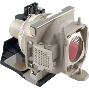 base_image_label-300673-OI63656