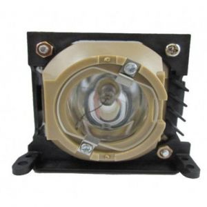 base_image_label-300731-OI53497