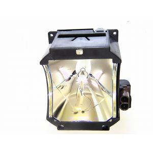 base_image_label-300782-OI56392