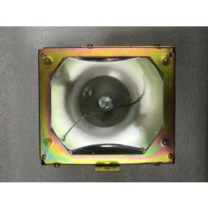 base_image_label-300794-OI56484