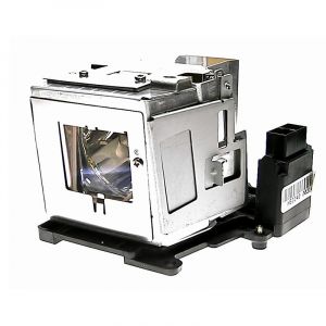 base_image_label-300796-OI56486