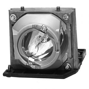 base_image_label-300805-OI61443