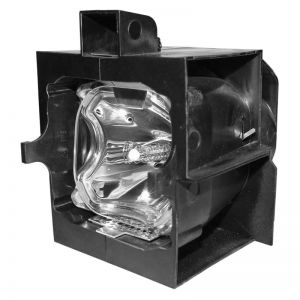 LIESEGANG DV 5000 vario Projector Lamp