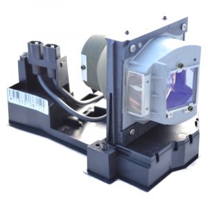 base_image_label-300854-OI61510