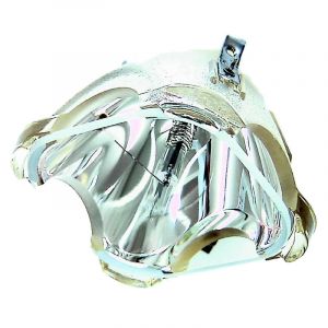 base_image_label-300936-OI61723