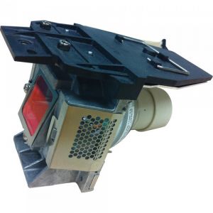 base_image_label-300941-OI61983