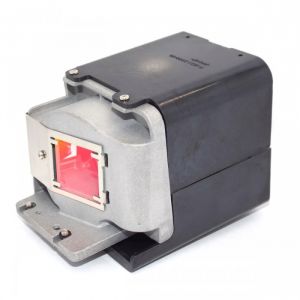 base_image_label-300945-OI61987